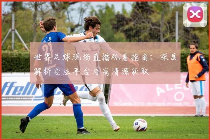 世界足球现场直播观看指南:深度解析合法平台与高清源获取