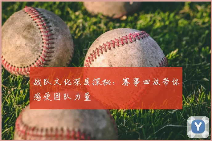 战队文化深度探秘，赛事回放带你感受团队力量