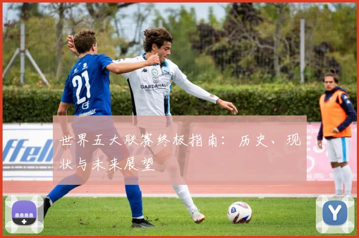 世界五大联赛终极指南：历史、现状与未来展望